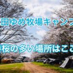 【2021最新お花見情報】成田ゆめ牧場キャンプ場の桜の多いおすすめサイトはここだ！